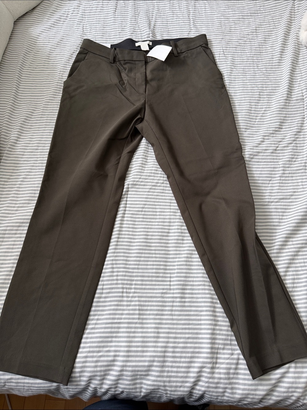 Womens Dress Pants - Dark Olive